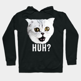 huh meme cat Hoodie